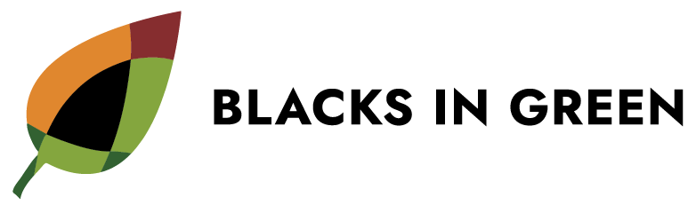 BIG+Primary+Logo+-+Horizontal+-+black+font